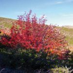 Enrique GarciÌa Bravo 7